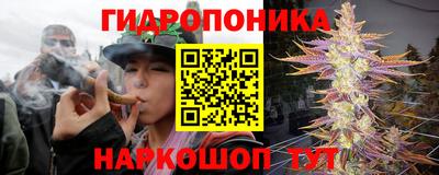 jwh Нарткала